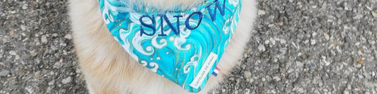Bandana pour chien
