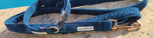 Pourquoi opter pour un kit collier et laisse assorti pour votre chien ?
