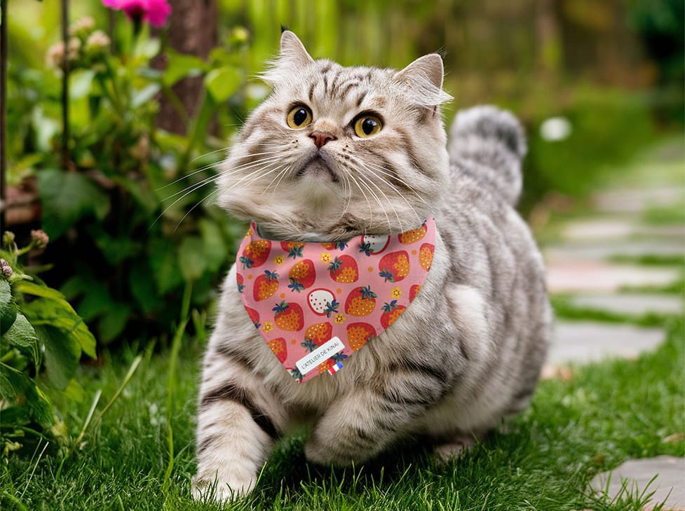 Bandana pour chat fraise