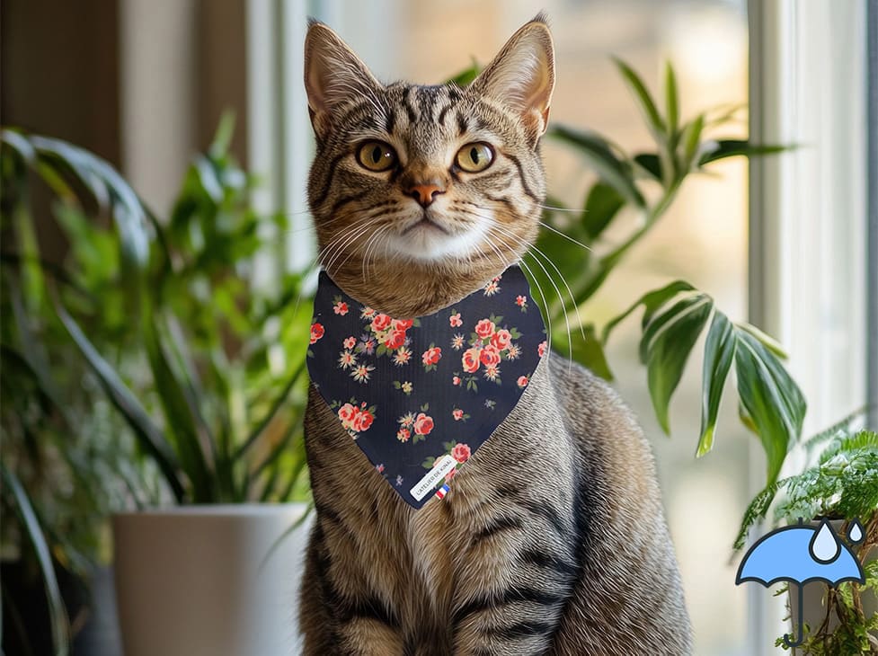 Bandana personnalisé pour chat imperméable Éclat Floral