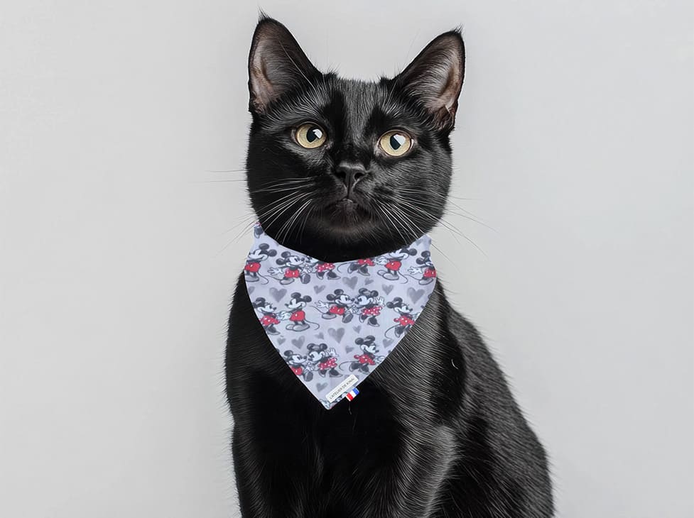 Bandana pour chat Mickey