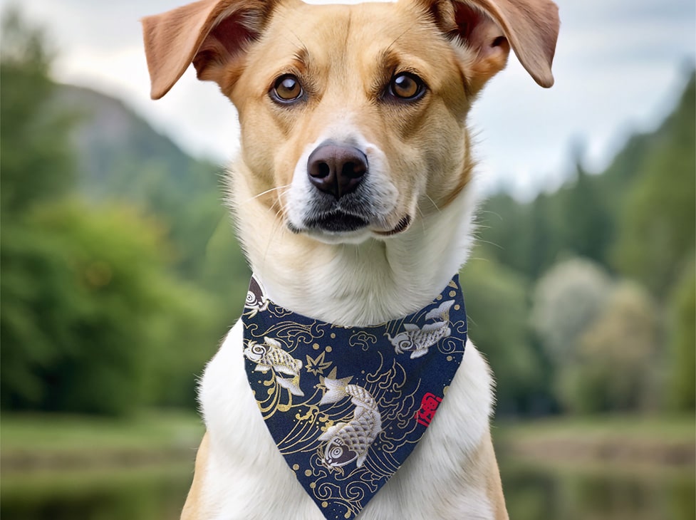 Bandana pour chien carpe koï