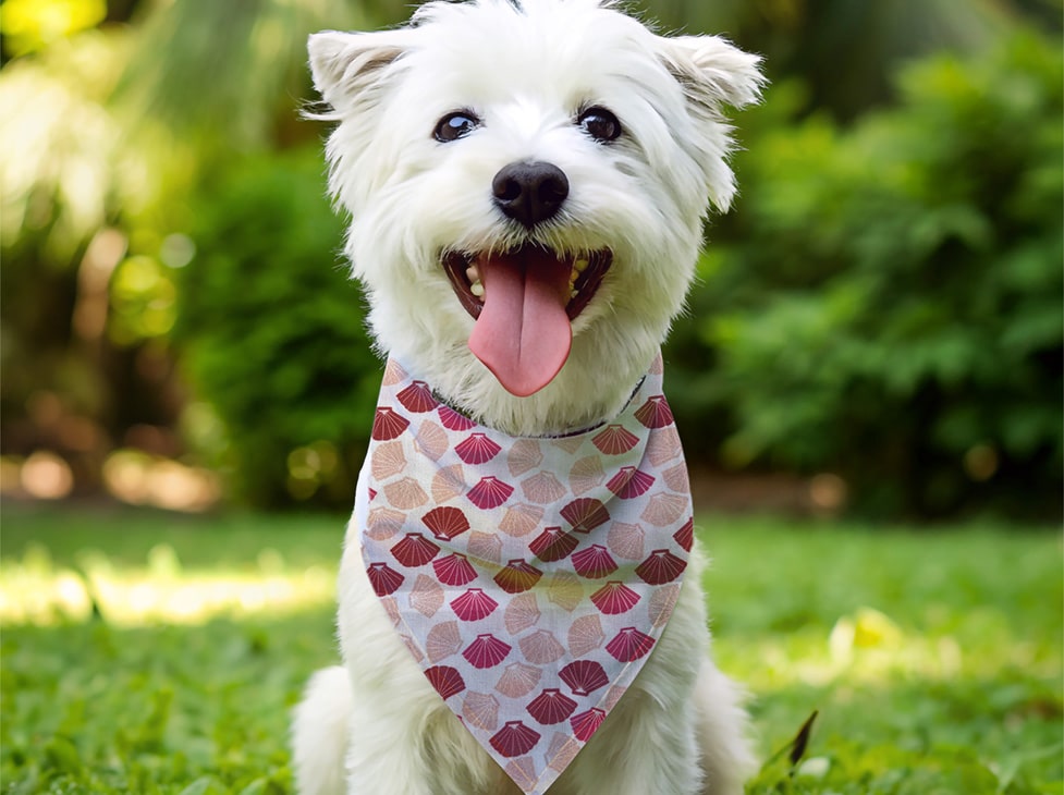Bandana pour chien coquillage