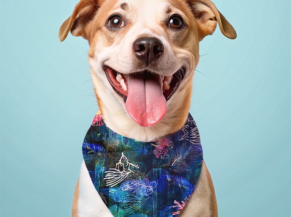 Bandana pour chien corail