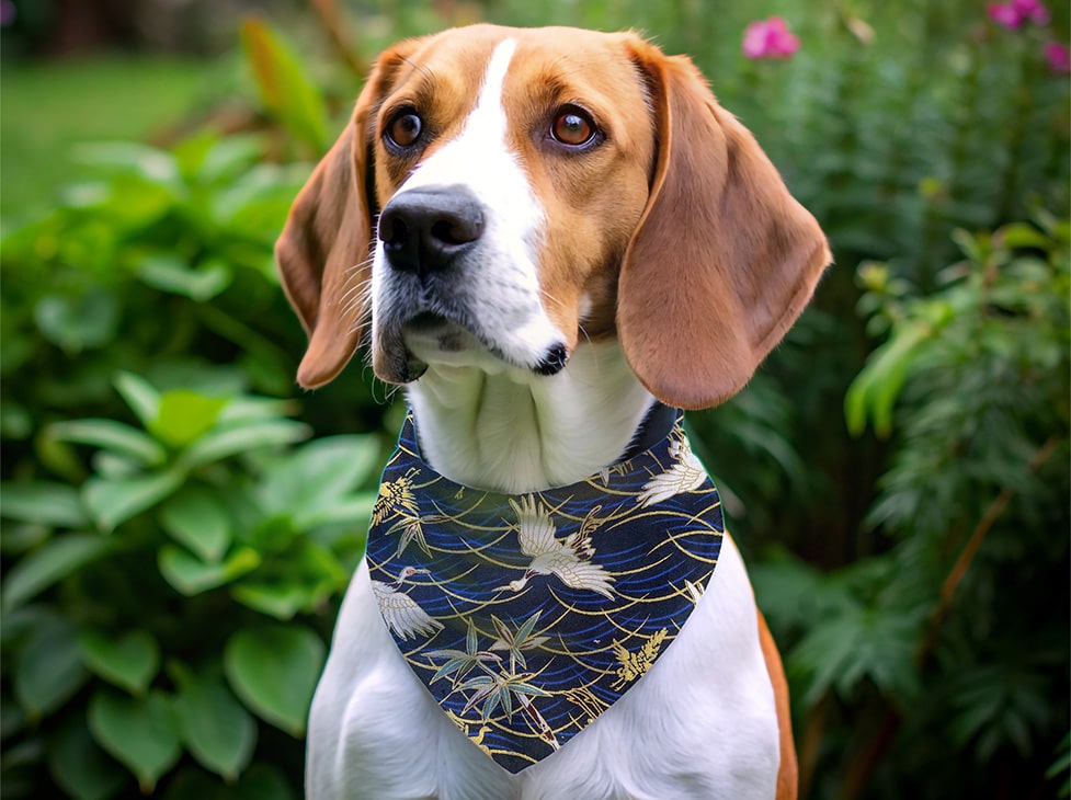 Bandana pour chien grue