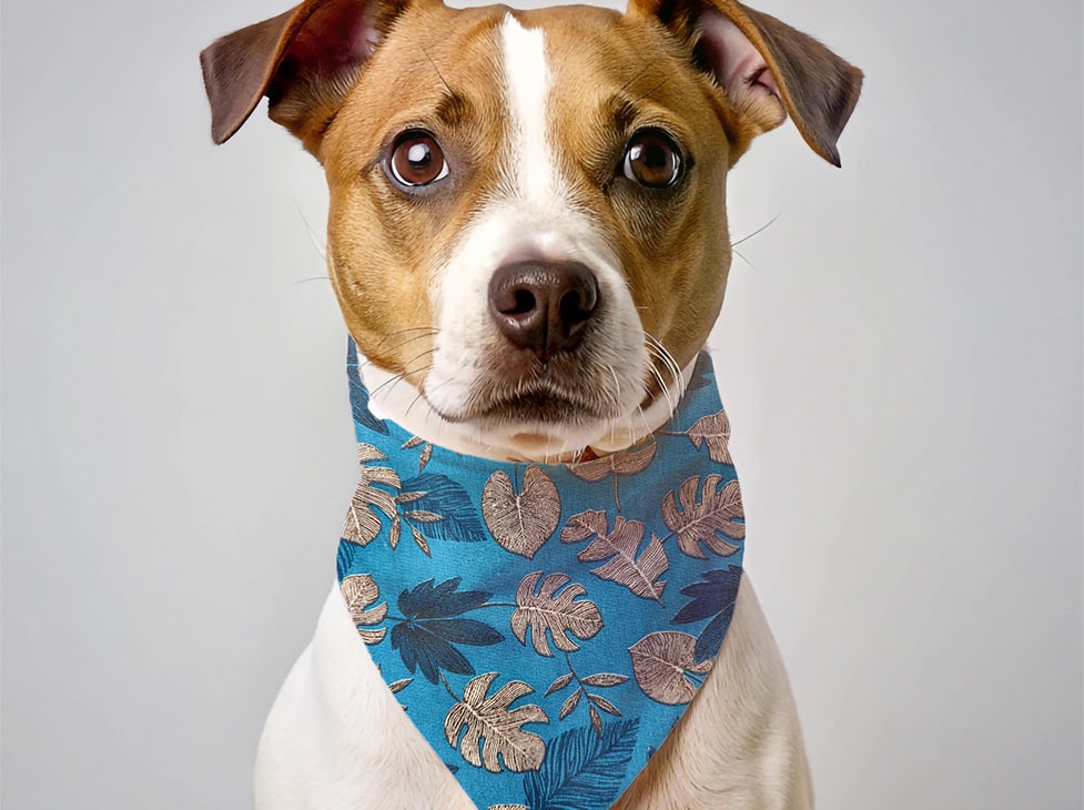Bandana pour chien feuille palmier