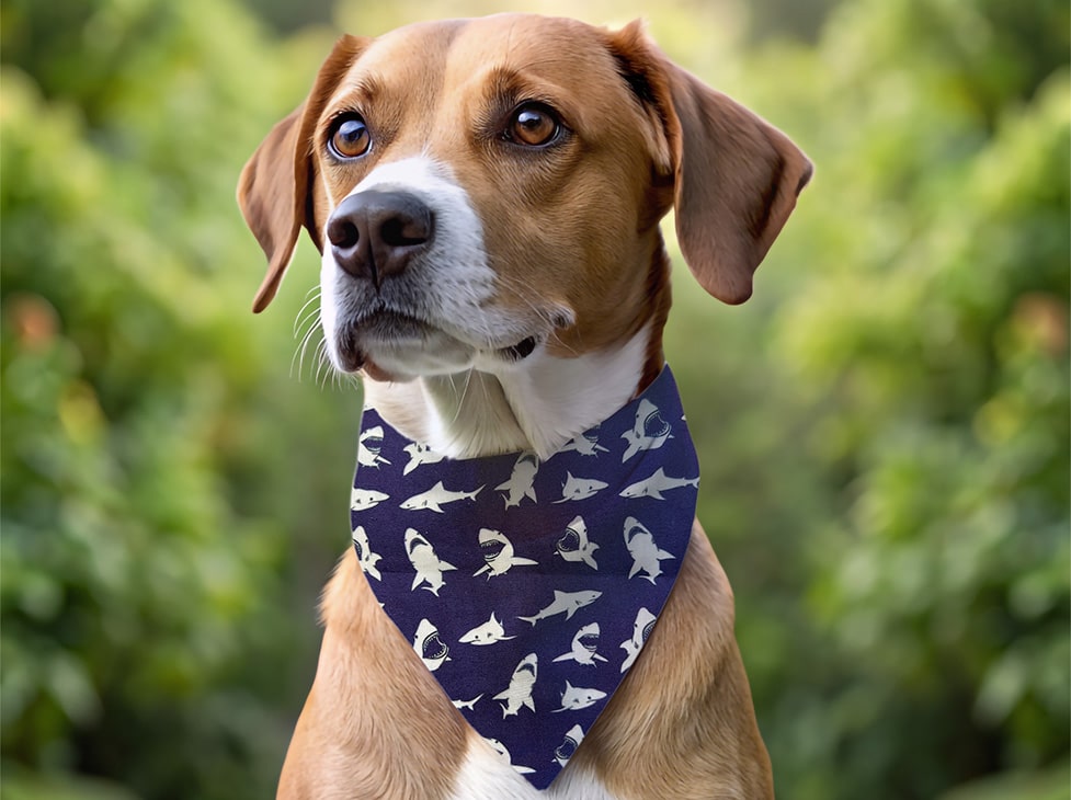 Bandana pour chien requin