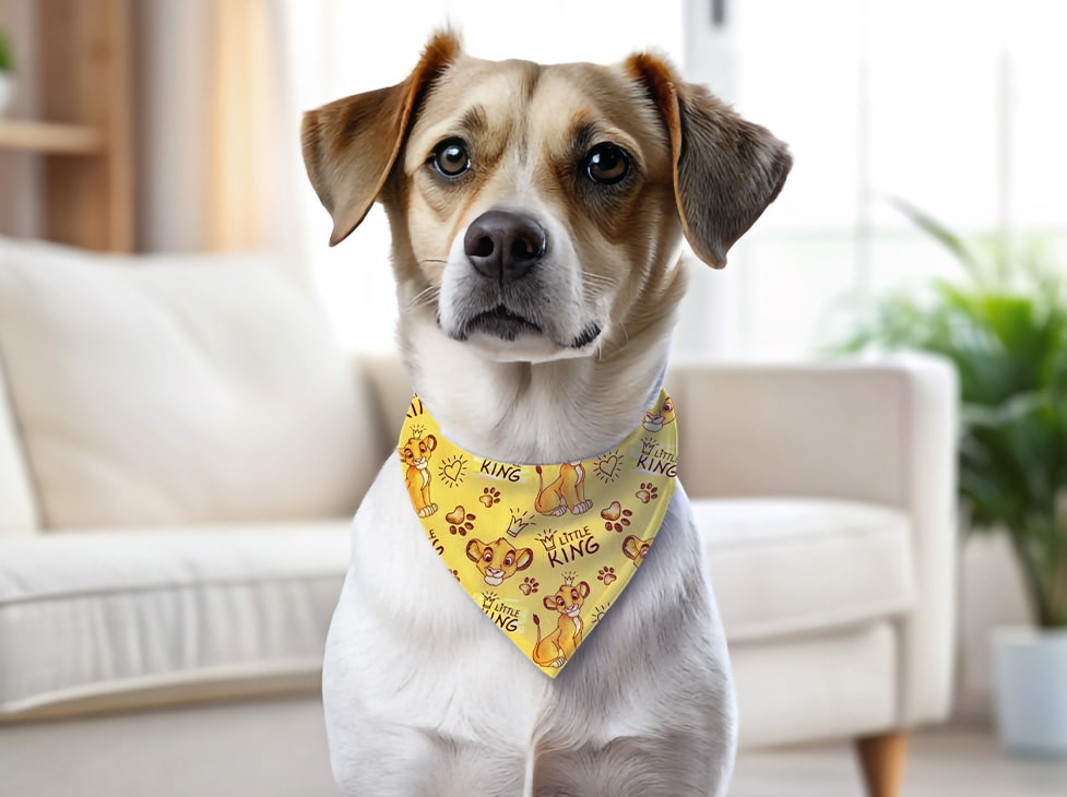 Bandana pour chien Roi Lion