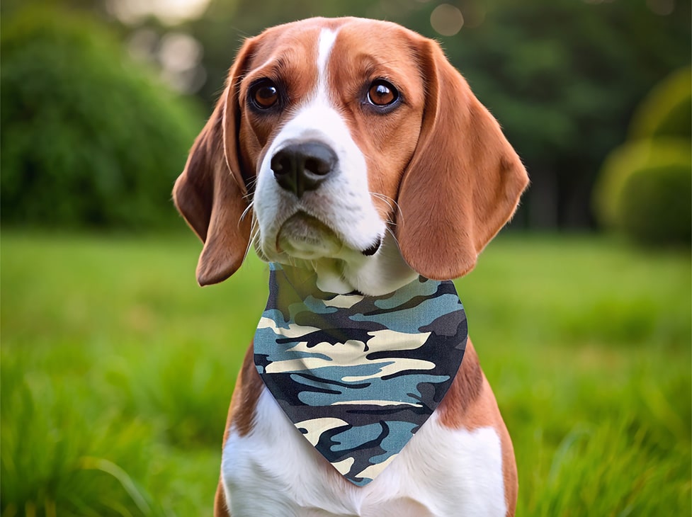 Bandana pour chien treillis