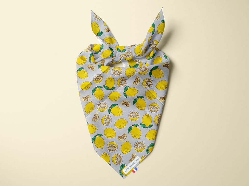 Bandana pour chien citron
