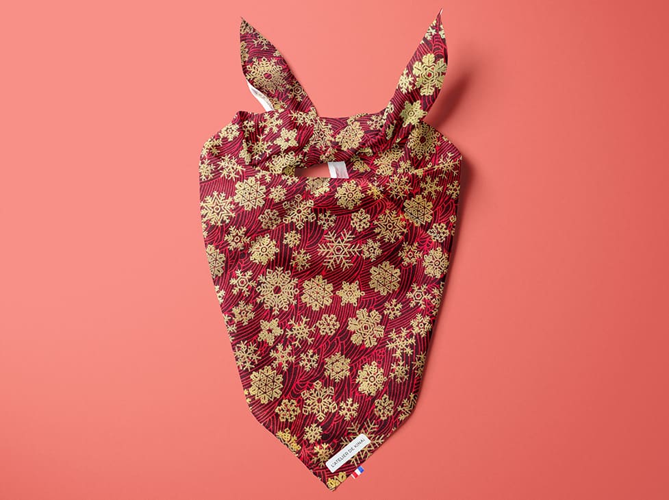 Bandana pour chien Fuji