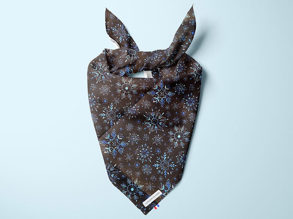 Bandana pour chien Nuit Polaire