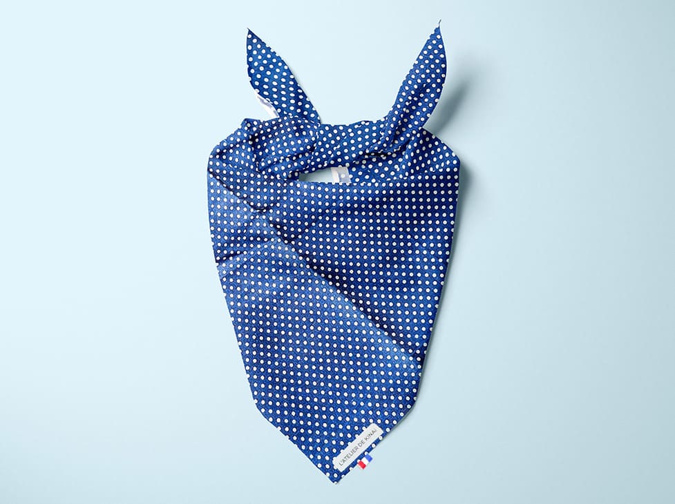 Bandana pour chien pois