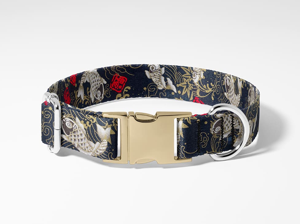 Collier pour chien carpe koï