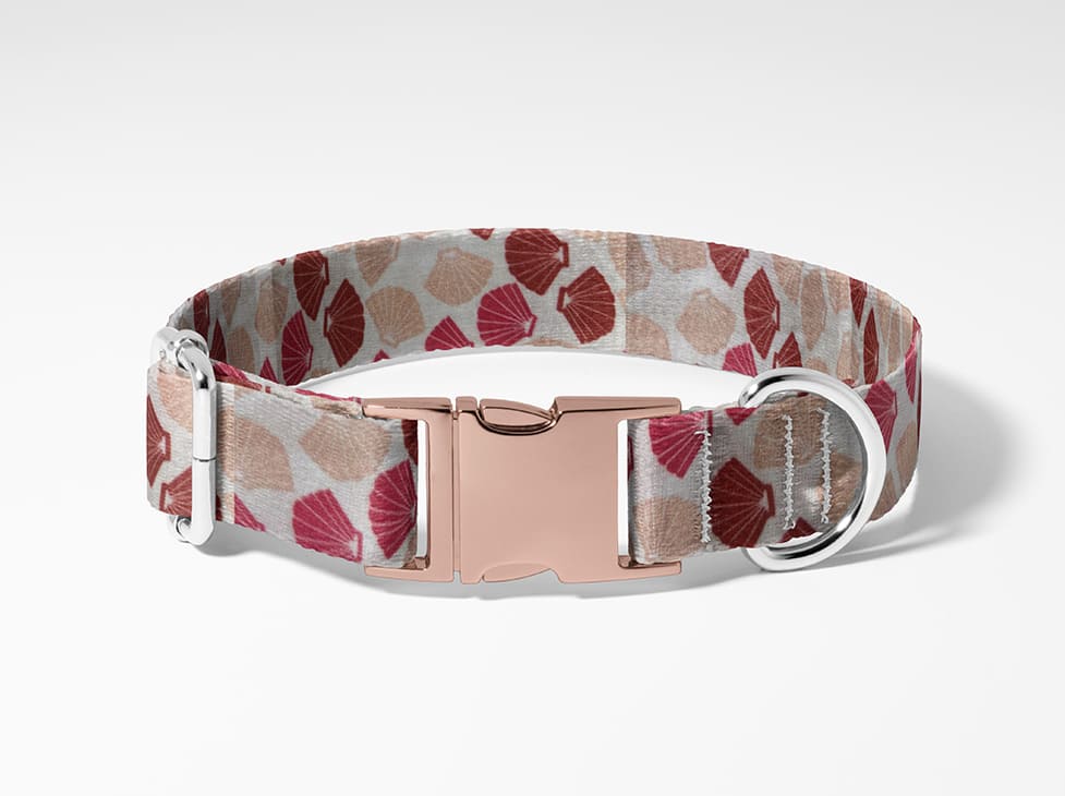 Collier pour chien coquillage