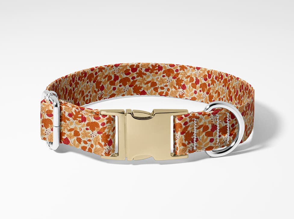 Collier pour chien feuille
