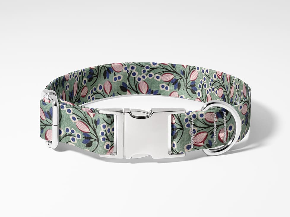 Collier pour chien fleurs
