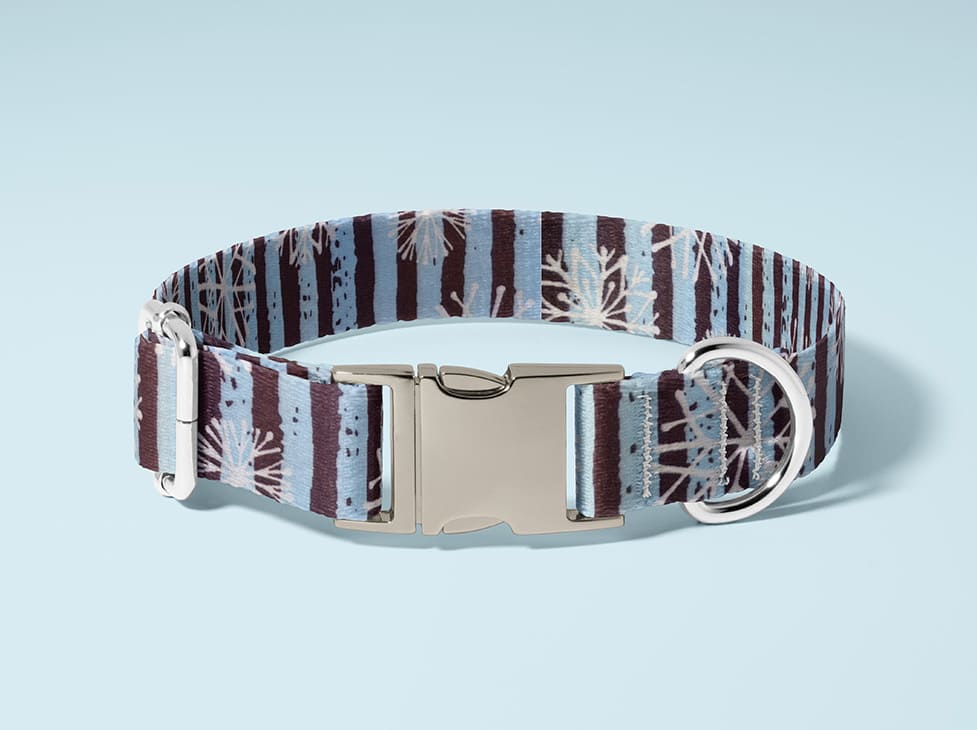 Collier pour chien Flocon Strié