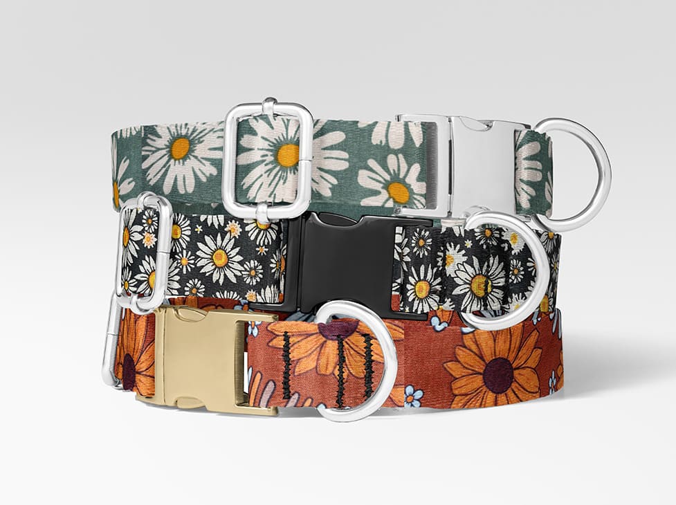 Collier pour chien marguerite