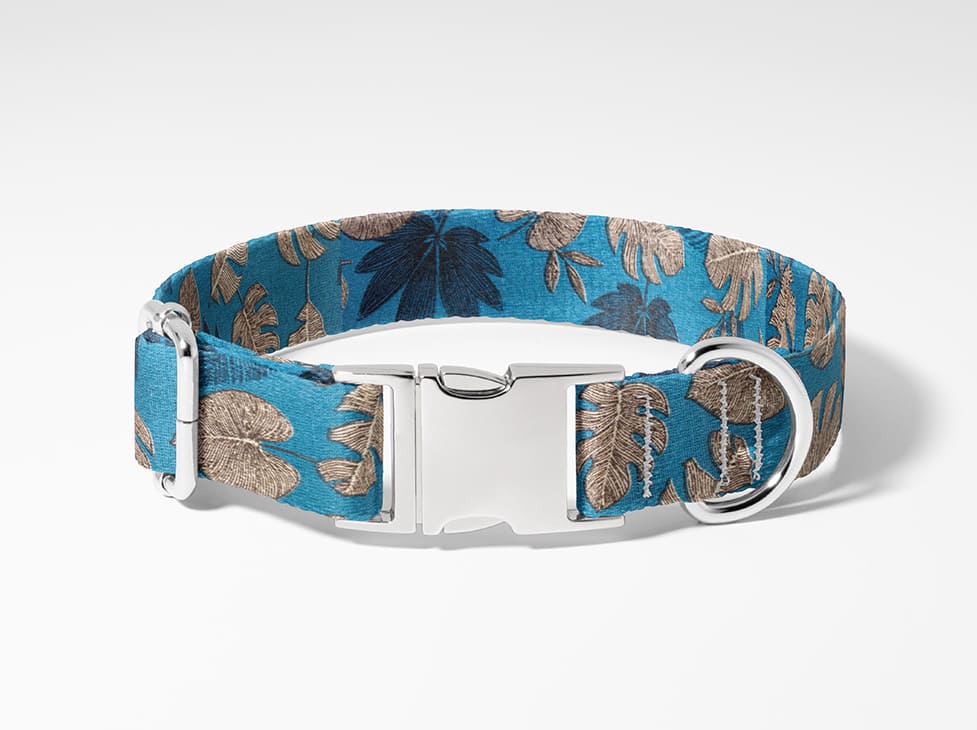 Collier pour chien feuille palmier