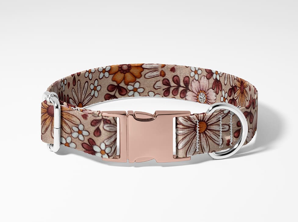 Collier pour chien pâquerette