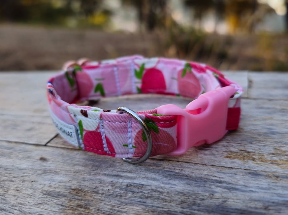Collier chien peche