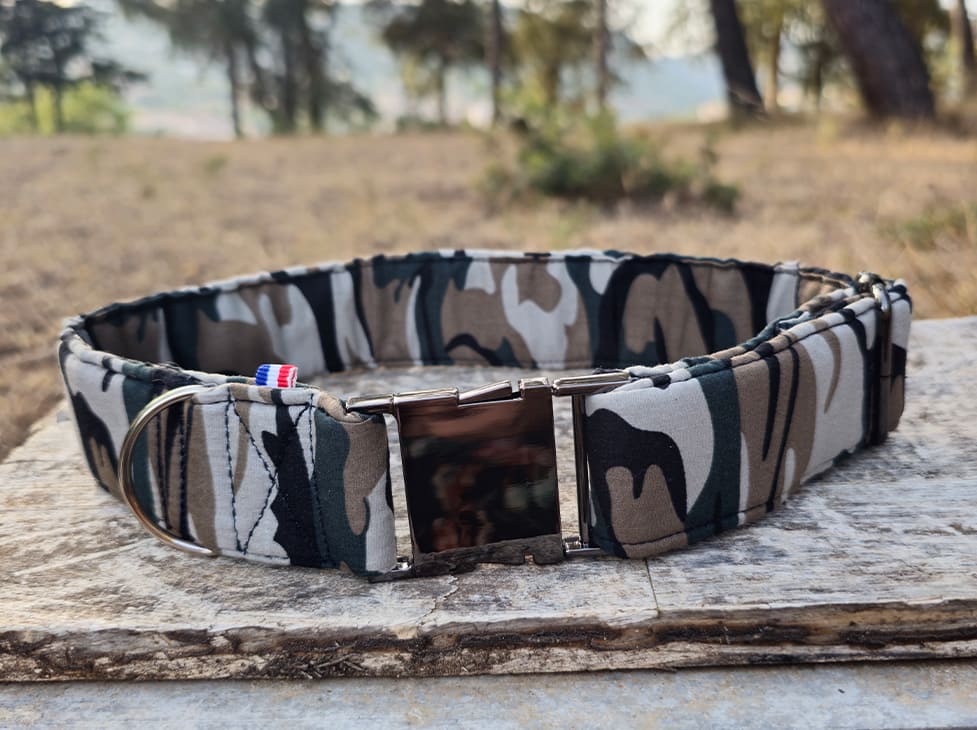 Collier chien treillis