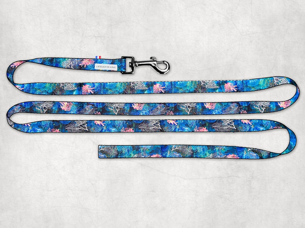 Laisse pour chien corail