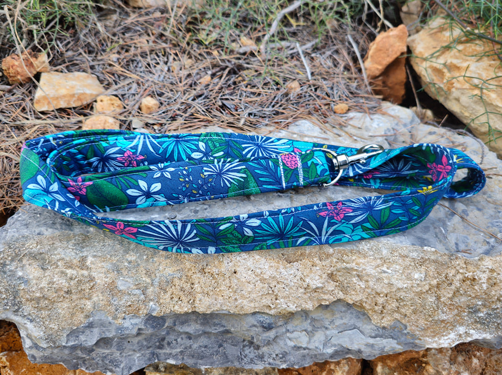 laisse chien tropical