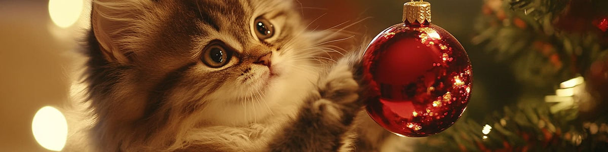 La Box de Noël pour Chat : Offrez un Noël Magique à Votre Félin