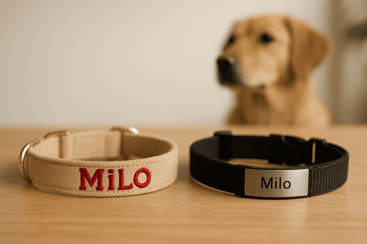 collier-chien-personnalise-broderie-vs-gravure