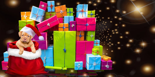 cadeau-noel-pour-chien-pas-cher