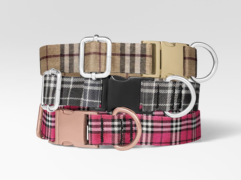 Le collier personnalisé avec prénom pour chien : sécurité, style et cadeau