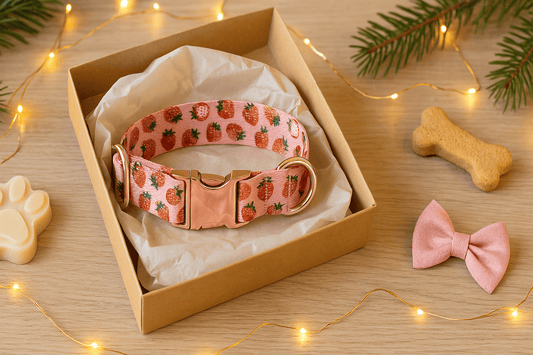 Collier chien cadeau