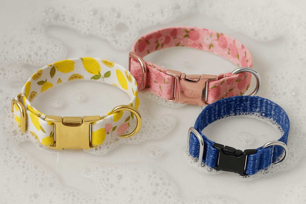 🧼 Comment entretenir un collier chien personnalisé et le garder beau plus longtemps ?