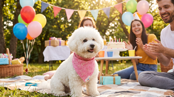 Bandana pour Chien : à Quelle Occasion le Porter ?