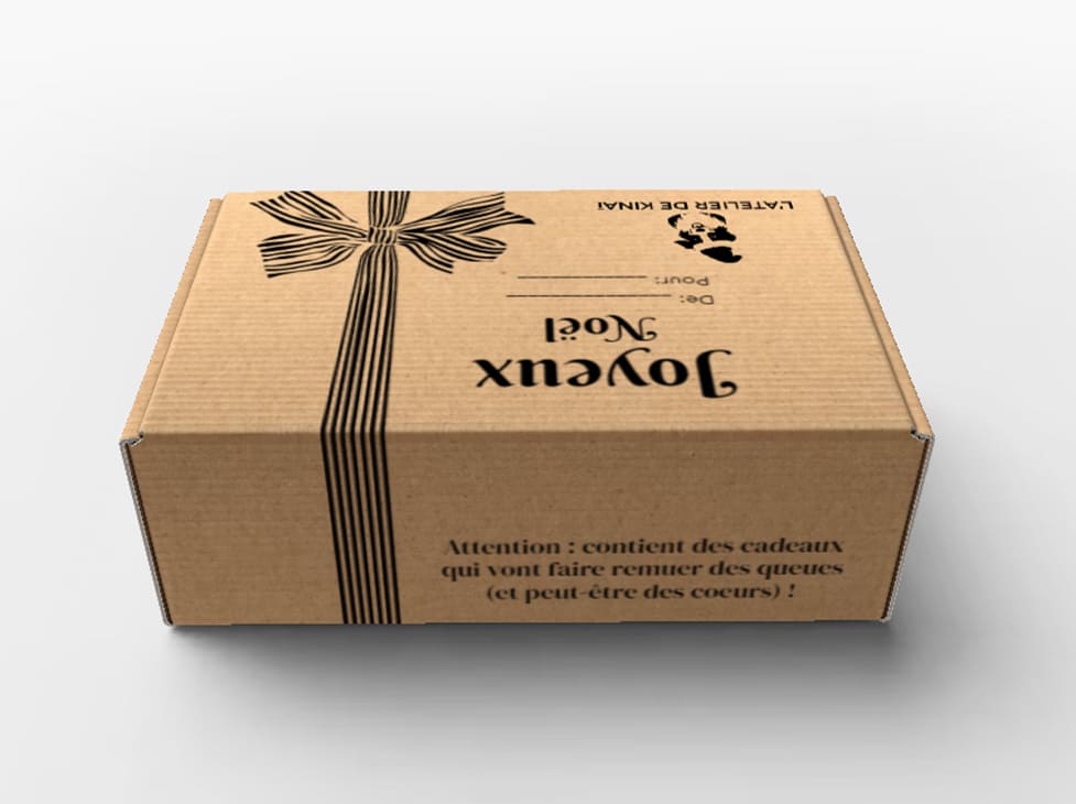 La Box de Noël idéale pour votre chat