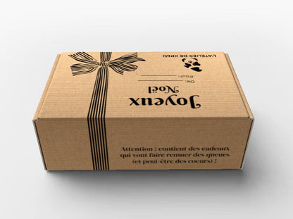 La Box de Noël idéale pour votre chat