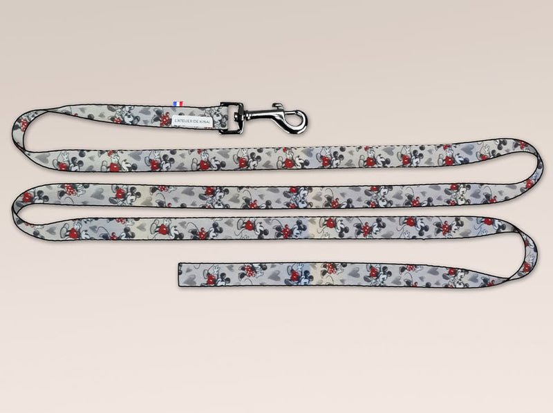 Laisse pour chien Mickey