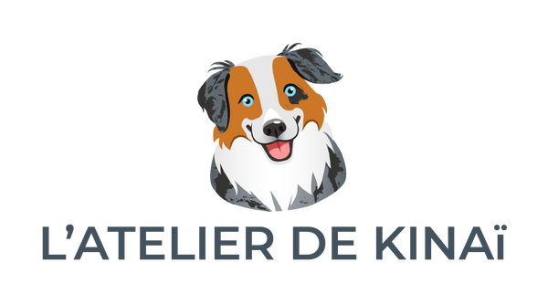 L'Atelier de Kinaï