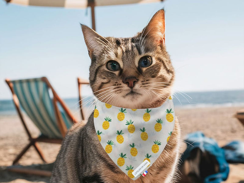 Bandana pour chat ananas