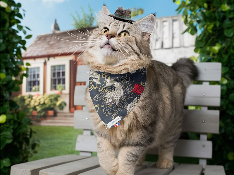 Bandana pour chat carpe koï