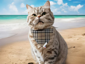 Bandana personnalisé pour chat carreaux