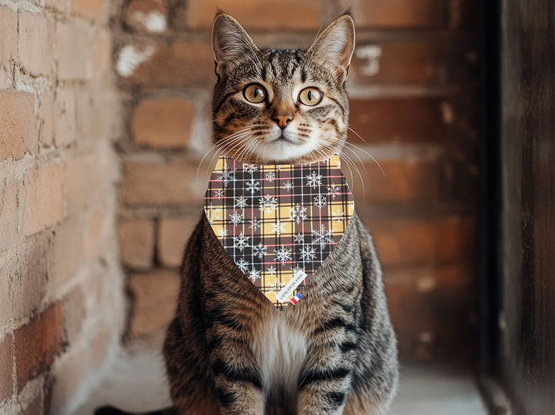 Bandana pour chat Givre Écossais