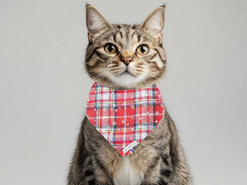 Bandana pour chat Tartan des Neiges