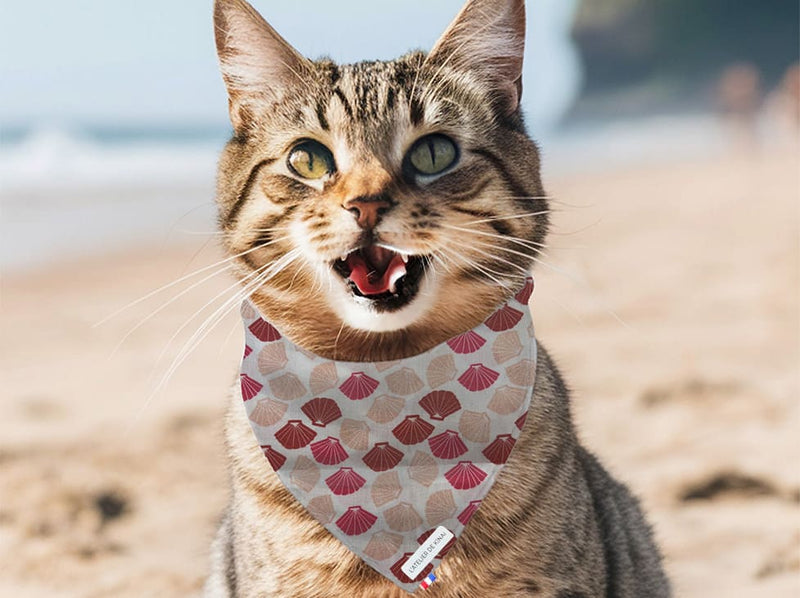 Bandana pour chat coquillage