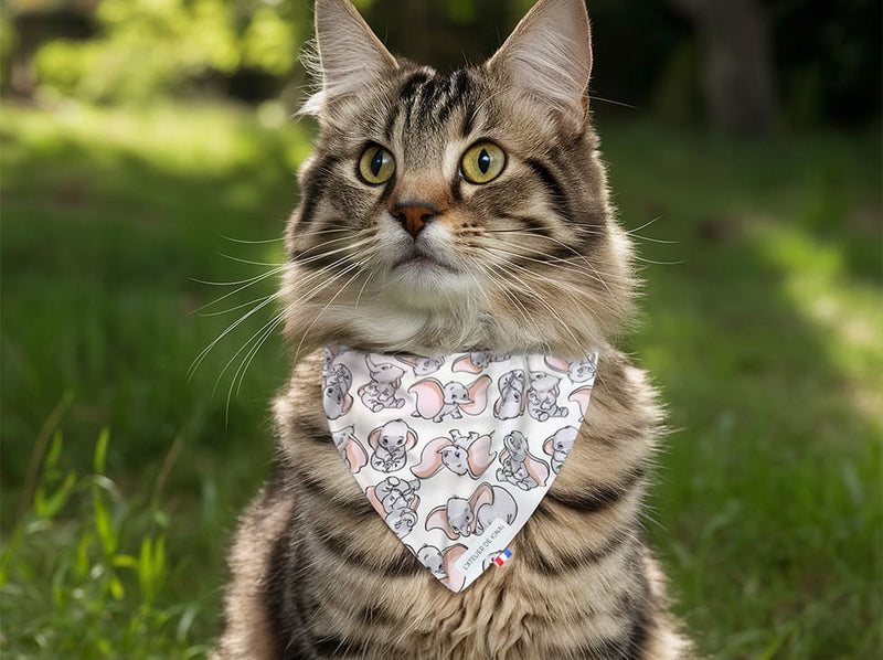 Bandana pour chat Dumbo