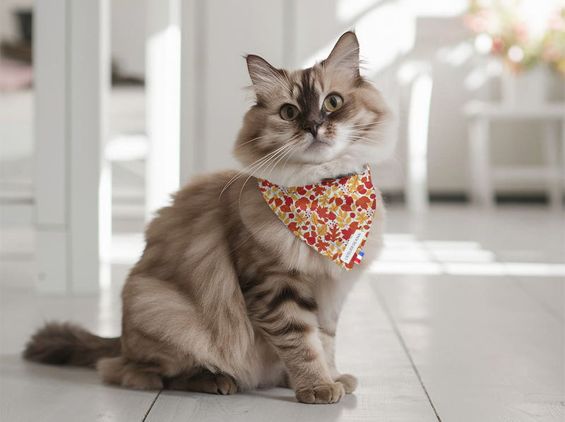 Bandana pour chat feuille