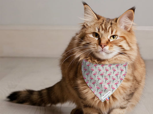 Bandana pour chat flamant rose