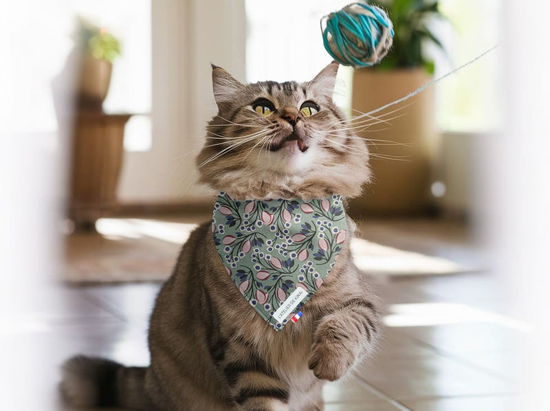 Bandana pour chat fleurs
